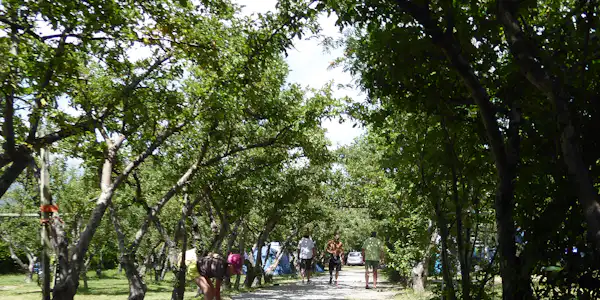 Camping Les Esparons