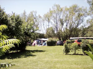 Camping Paradis Les Etangs de Plessac