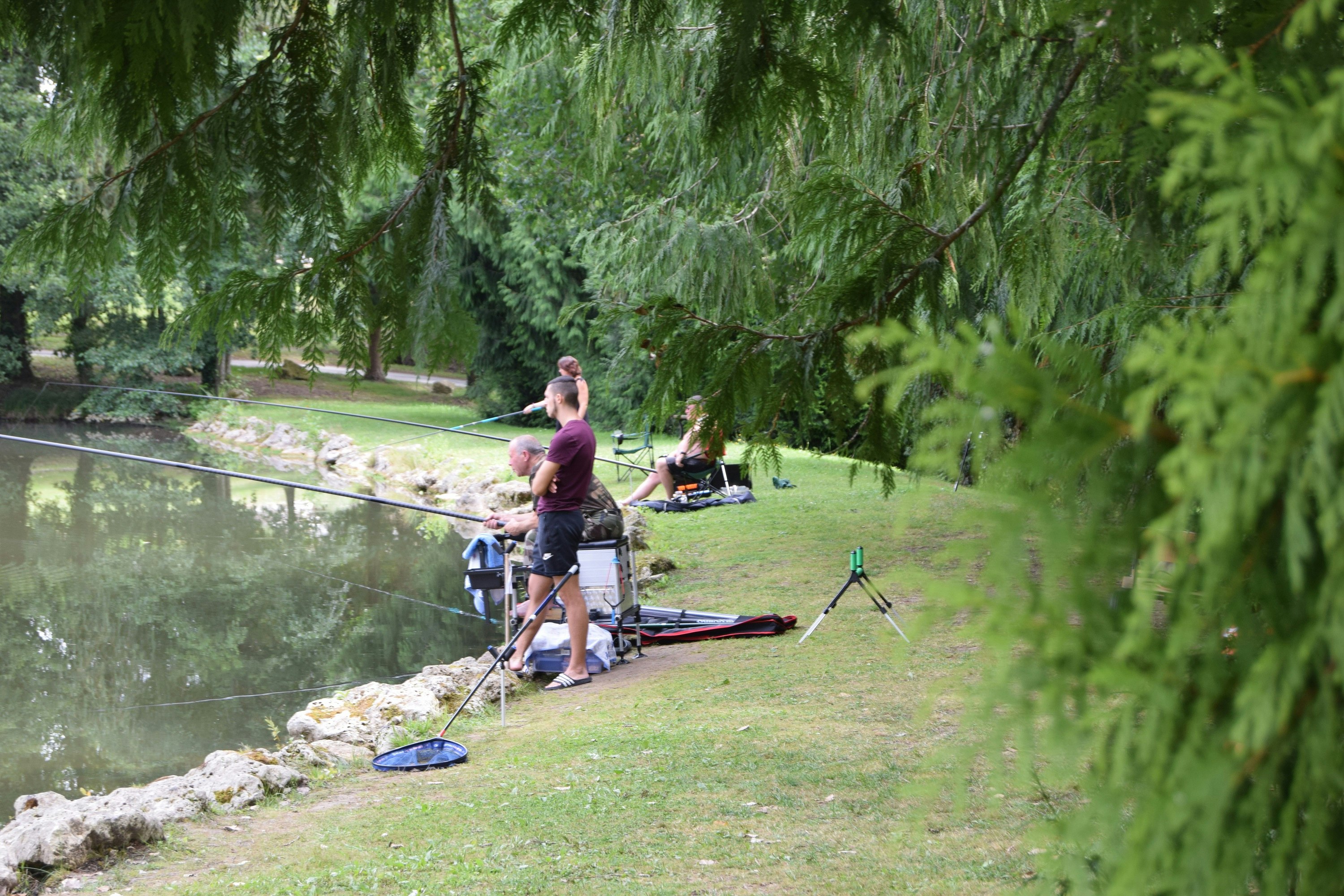 Campingplatz im Grünen: Person am Grill neben Zelt und Campingstühlen auf einer Wiese, im Hintergrund Bäume und Hecke.