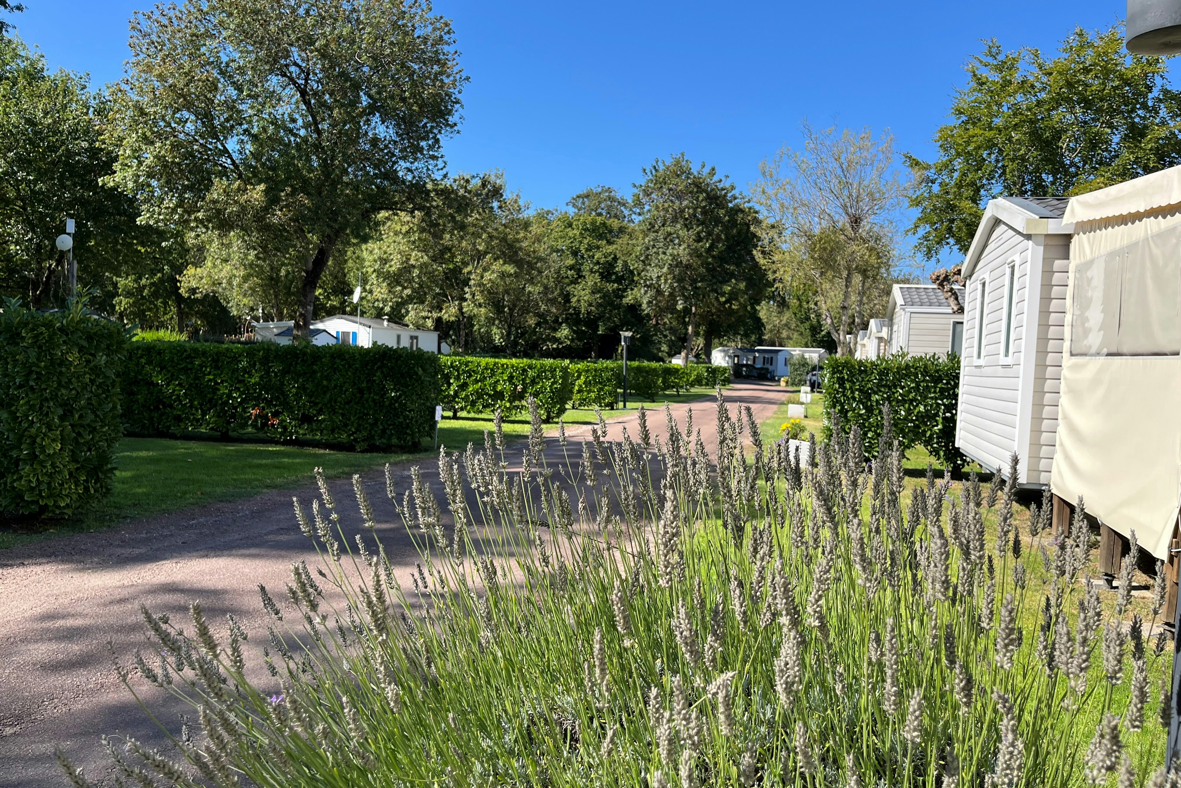 Camping les Floralies  - Mobilheime auf dem Campingplatz