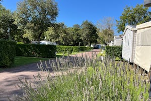 Camping les Floralies - Mobilheime auf dem Campingplatz