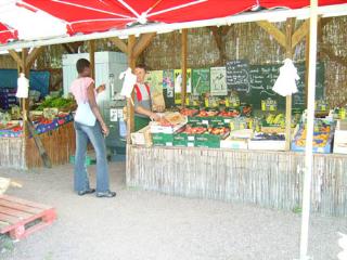 Camping Les Fougères