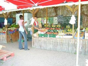 Camping Les Fougères