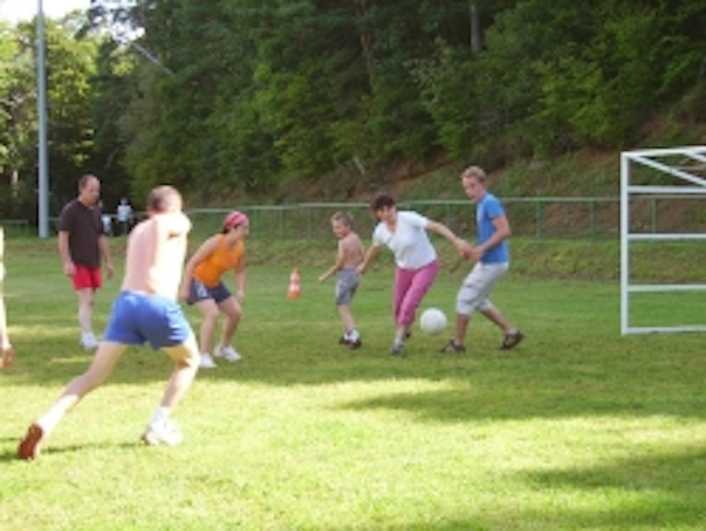 Camping Les Fougères (Murol)