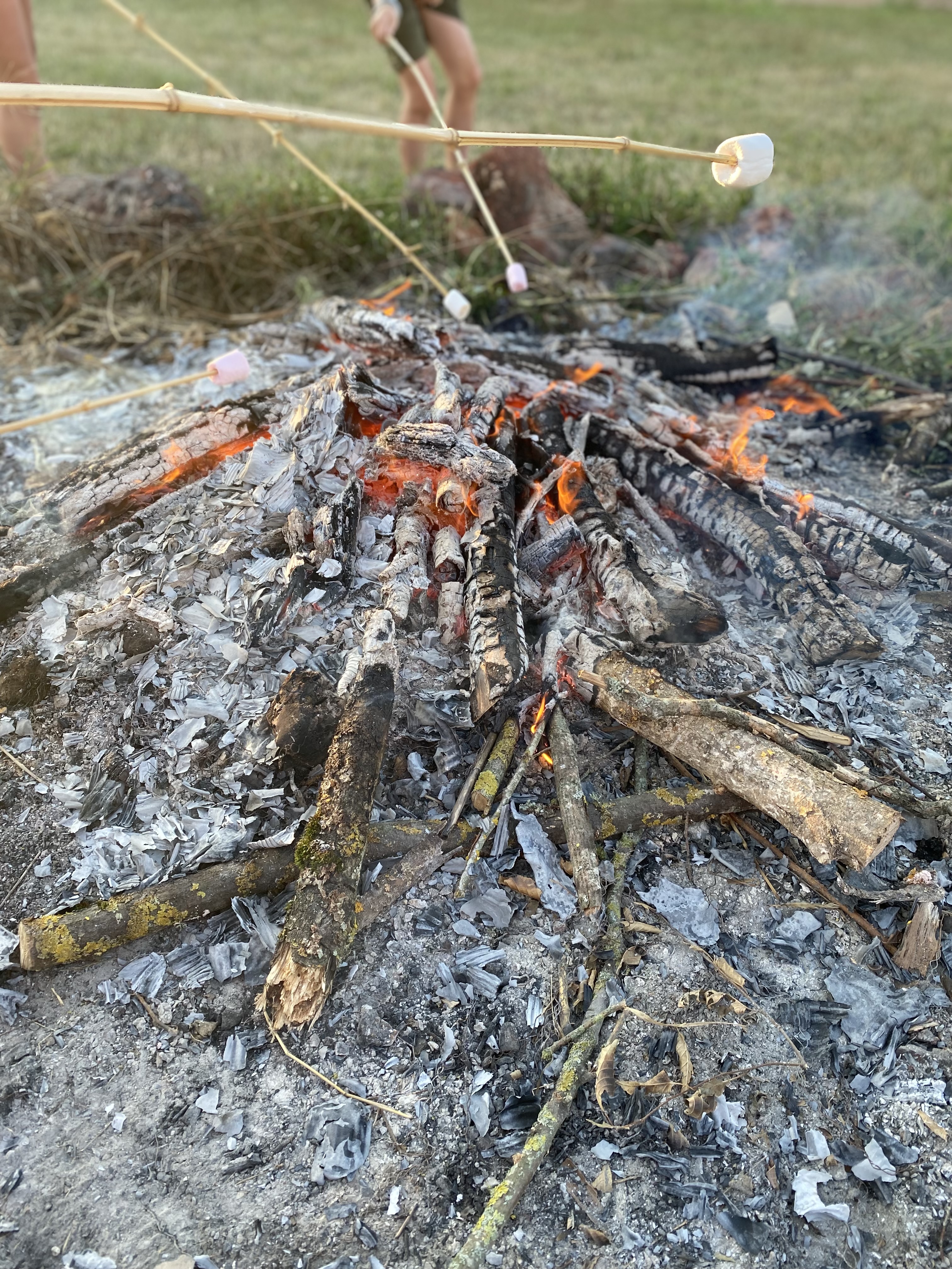 Camping Les Fruits du Passau