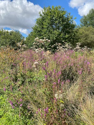 Camping Les Fruits du Passau