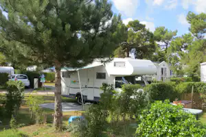 Camping Les Galets de la Mollière - Wohnwagen- und Zeltstellplatz zwischen Bäumen auf dem Campingplatz