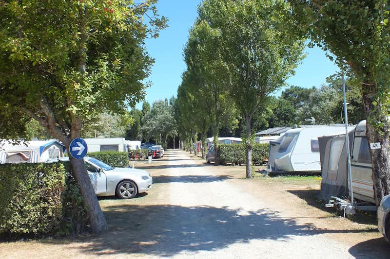 Camping Les Goélands  -  Stellplatz vom Campingplatz im Grünen