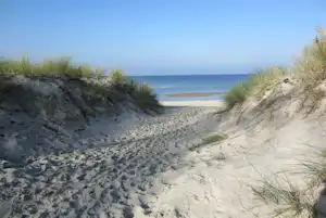Camping Les Goélands - Blick auf den Weg zum Strand