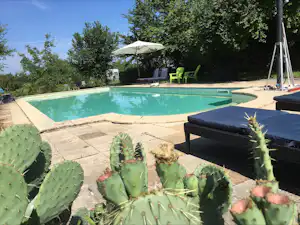 Schwimmbecken auf dem Campingplatz mit Liegen, Sonnenschirm und gepflasterter Terrasse, umgeben von Bäumen und Kakteen.