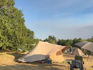 Zelte auf einem Campingplatz im Grünen, mit Campingstühlen und Tisch vor den Zelten, umgeben von Bäumen.