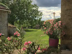Blumen in Töpfen vor einer Steinmauer, dahinter grüner Rasen und Bäume am Campingplatz.