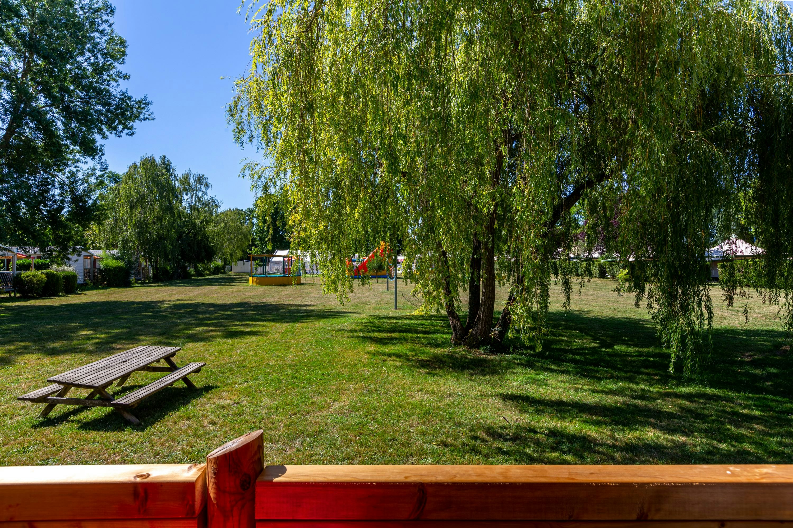 Campingwiese mit großer Weide, Holzbank und Spielbereich im Hintergrund, umgeben von Bäumen und Rasen.