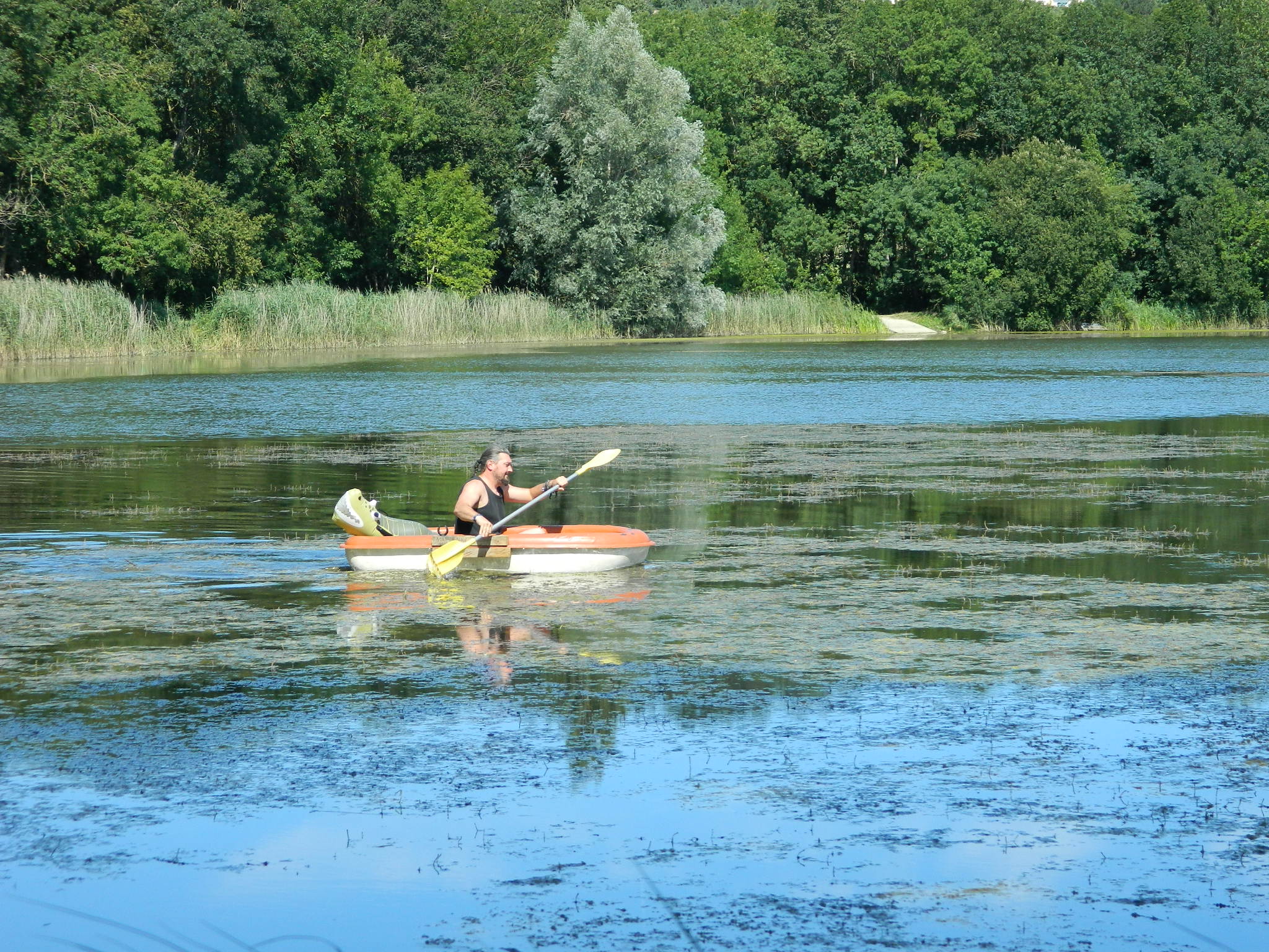 Camping Les Grèbes du Lac de Marcenay