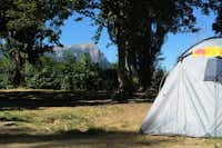 Camping Les Grillons - zelt auf Stellplatz im Grünen mit Alpen im Hintergrund