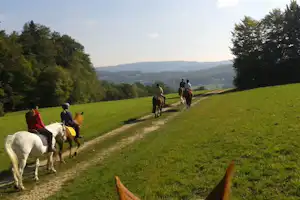 Reiter mit Pferden auf einem Feldweg durch eine grüne Wiese, umgeben von Bäumen und Hügeln im Hintergrund.