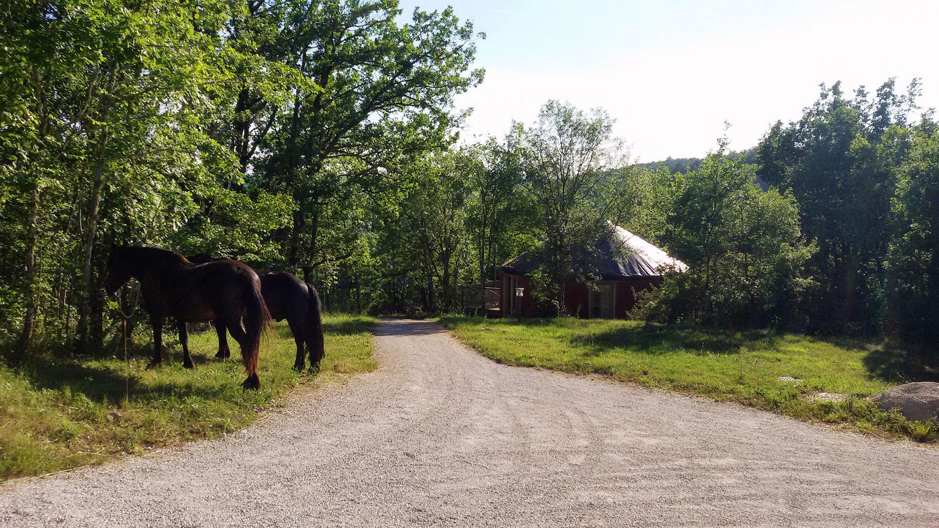 Camping les Hauts d'Albas