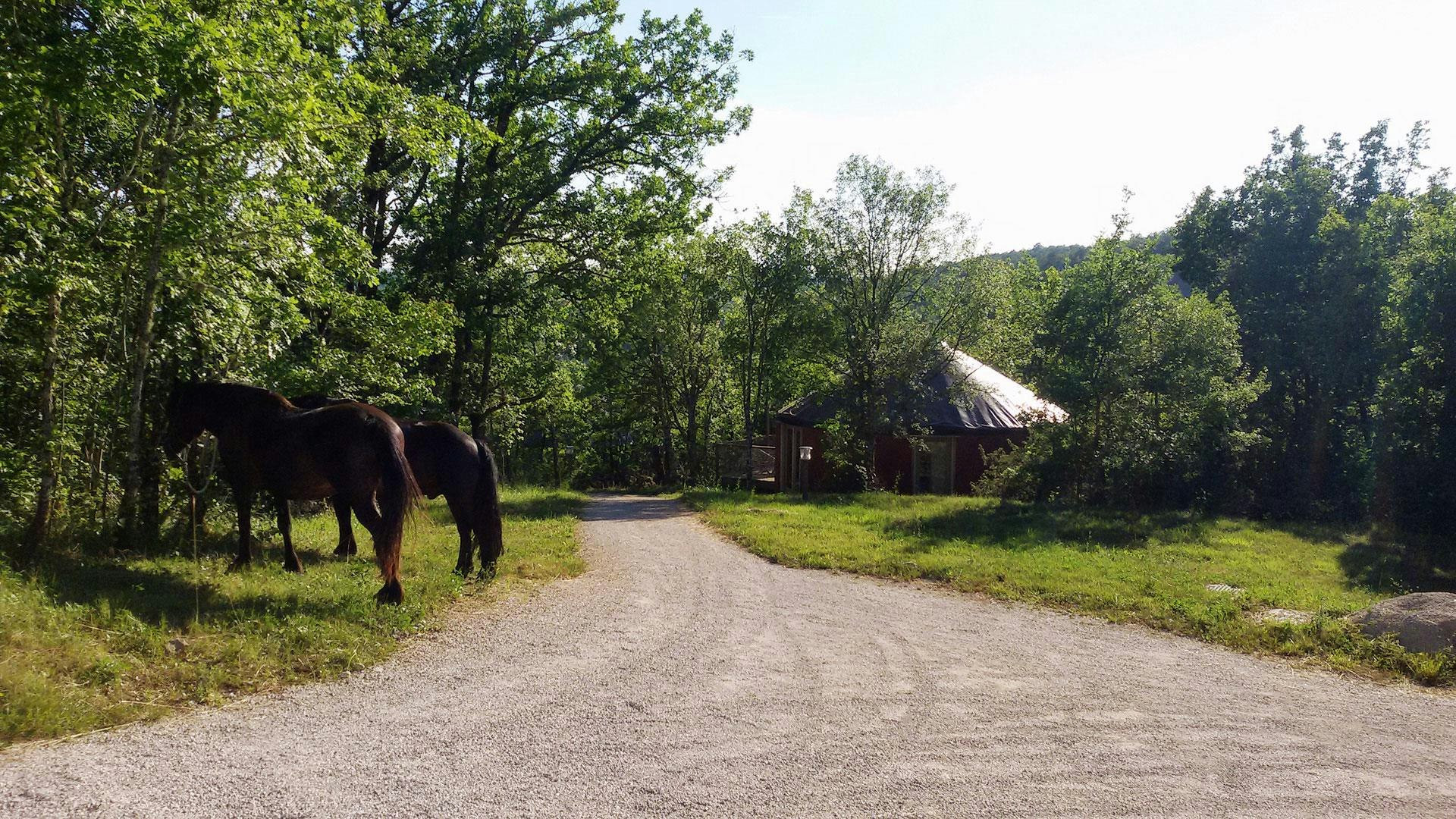 Camping les Hauts d'Albas