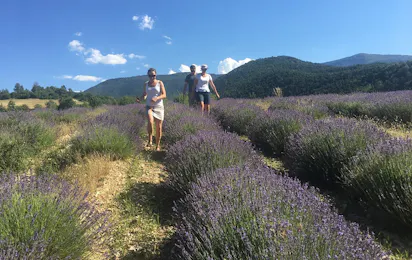Flower Camping Les Hauts de Rosans