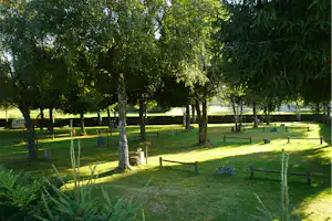 Grüne Wiese mit Bäumen und Holzgeländern, Campingstellplätze im Hintergrund, Wohnwagen am Rand des Platzes.