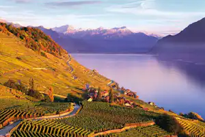 Weinberge am See mit geschwungenem Weg, Häusern am Hang und Bergen im Hintergrund bei Abendlicht.