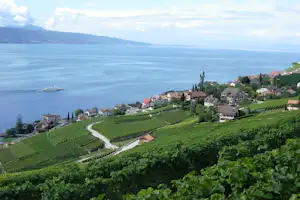 Blick auf den See mit Uferpromenade, Weinbergen und Häusern am Hang, im Hintergrund Berge und Schiffe.
