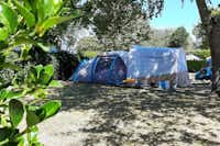 Camping Les Hortensias - Zeltplätze im Schatten
