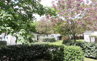 Camping LES HORTENSIAS (Rosières)