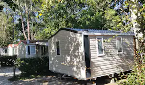 Mobilheim auf einem Campingplatz im Grünen, mit Holzverkleidung, Fenstern und Eingangstür zwischen Bäumen.