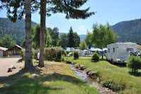 Camping Les Jonquilles  -  Wohnwagen- und Zeltstellplatz zwischen Bäumen auf dem Campingplatz