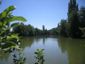 Ruhiger See im Campingbereich, umgeben von Bäumen und Sträuchern, mit klarem Himmel und spiegelndem Wasser.