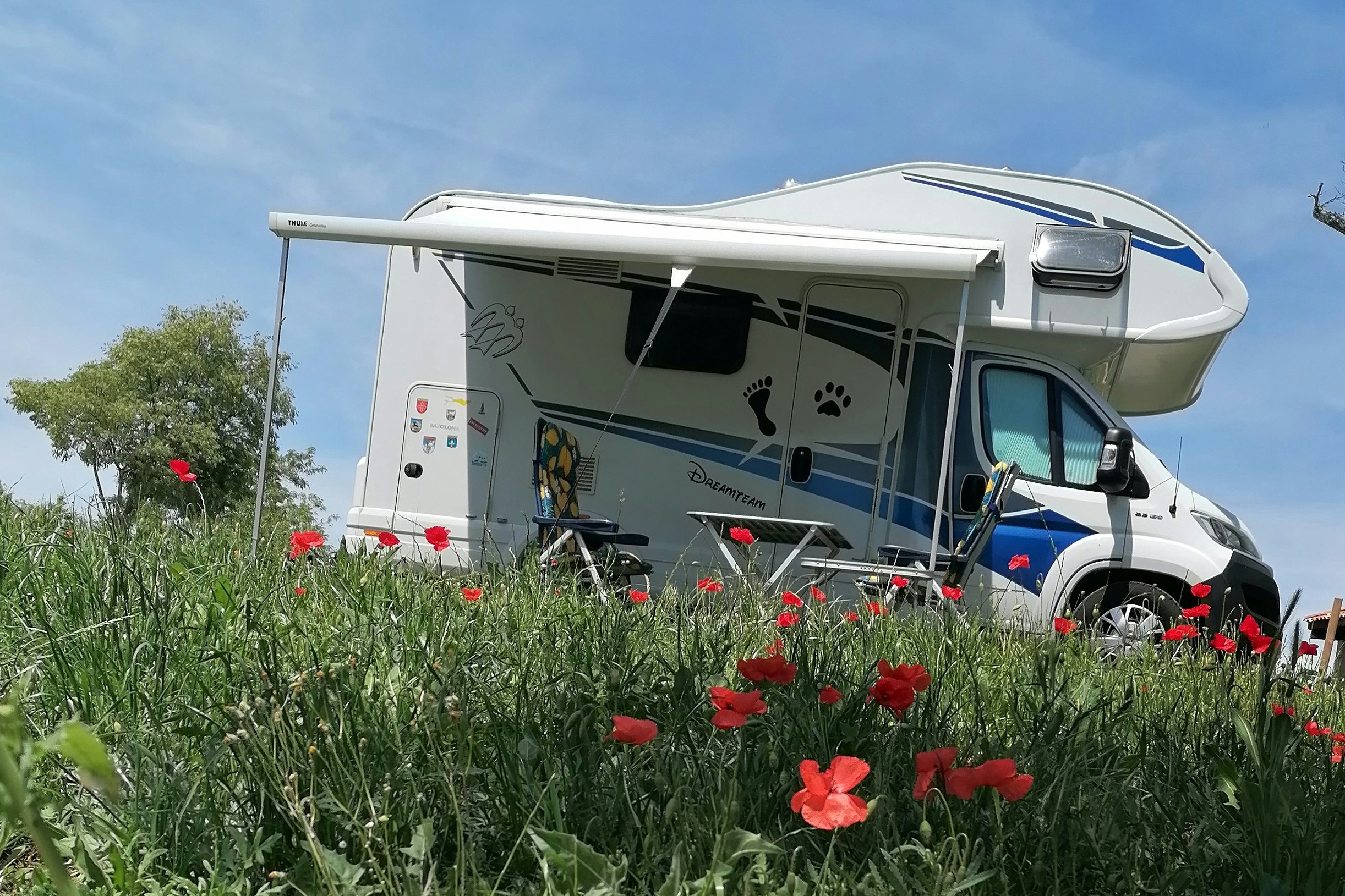 Wohnmobil auf einem Campingplatz zwischen roten Blumen, geöffnetes Dach und Seitenfenster, im Hintergrund Bäume und Himmel.