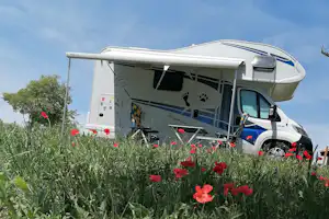 Wohnmobil auf einem Campingplatz zwischen roten Blumen, geöffnetes Dach und Seitenfenster, im Hintergrund Bäume und Himmel.