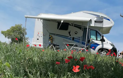 Camping les Lavandes, Valensole