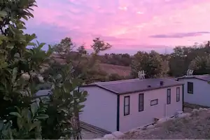 Weiße Mobilheime auf einem Campingplatz, umgeben von Bäumen, im Vordergrund Blätter und ein Weg am Boden.