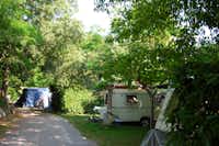 Camping Les Lavandes - Wohnwagen- und Zeltstellplatz zwischen Bäumen