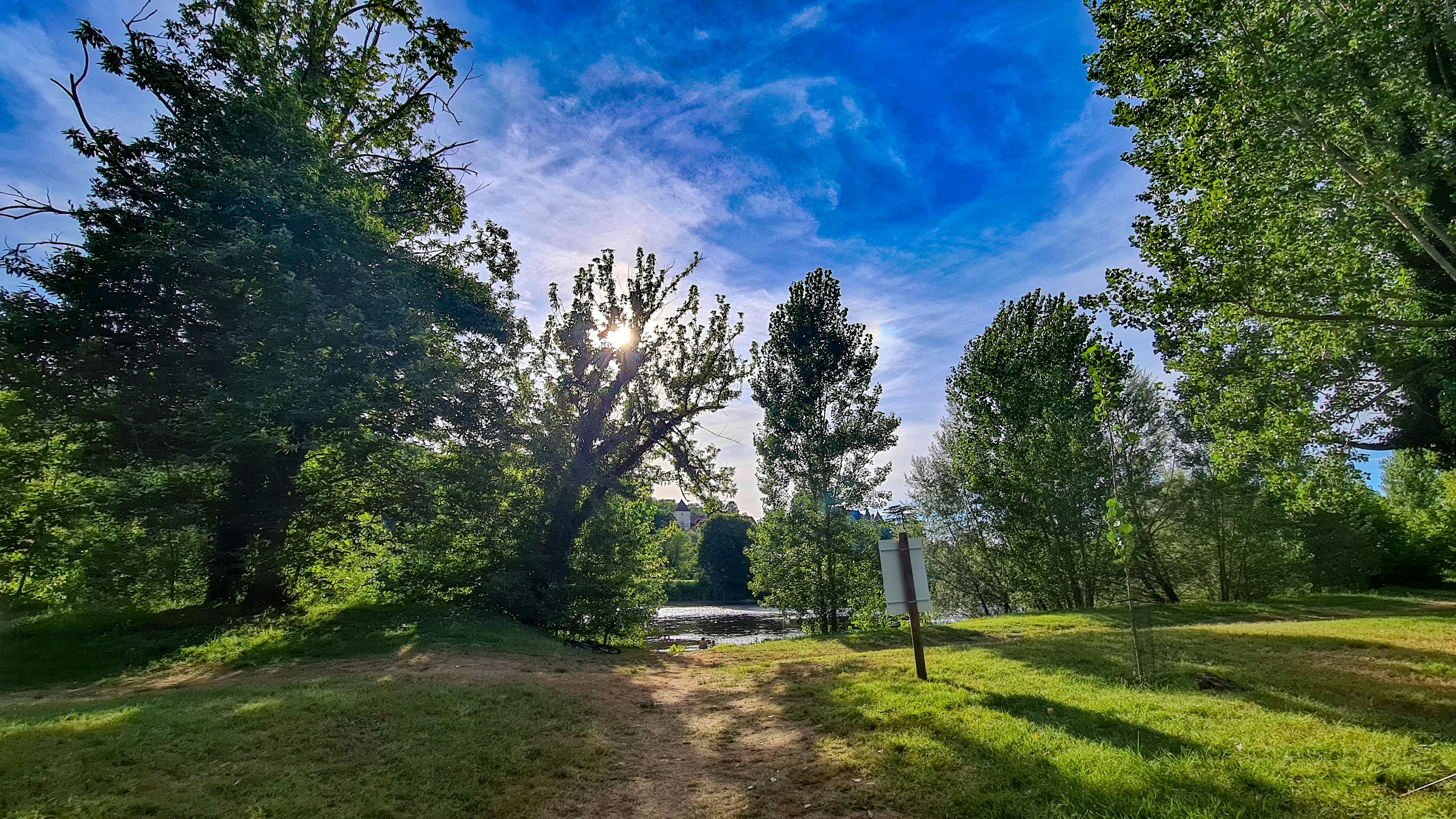 Camping les Magnanas - Standplätze zwischen den Bäumen auf dem Campingplatz