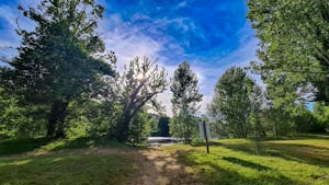 Camping les Magnanas - Standplätze zwischen den Bäumen auf dem Campingplatz