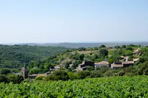 Weinberge im Vordergrund mit Blick auf ein Dorf im Tal, umgeben von grünen Hügeln und Häusern.