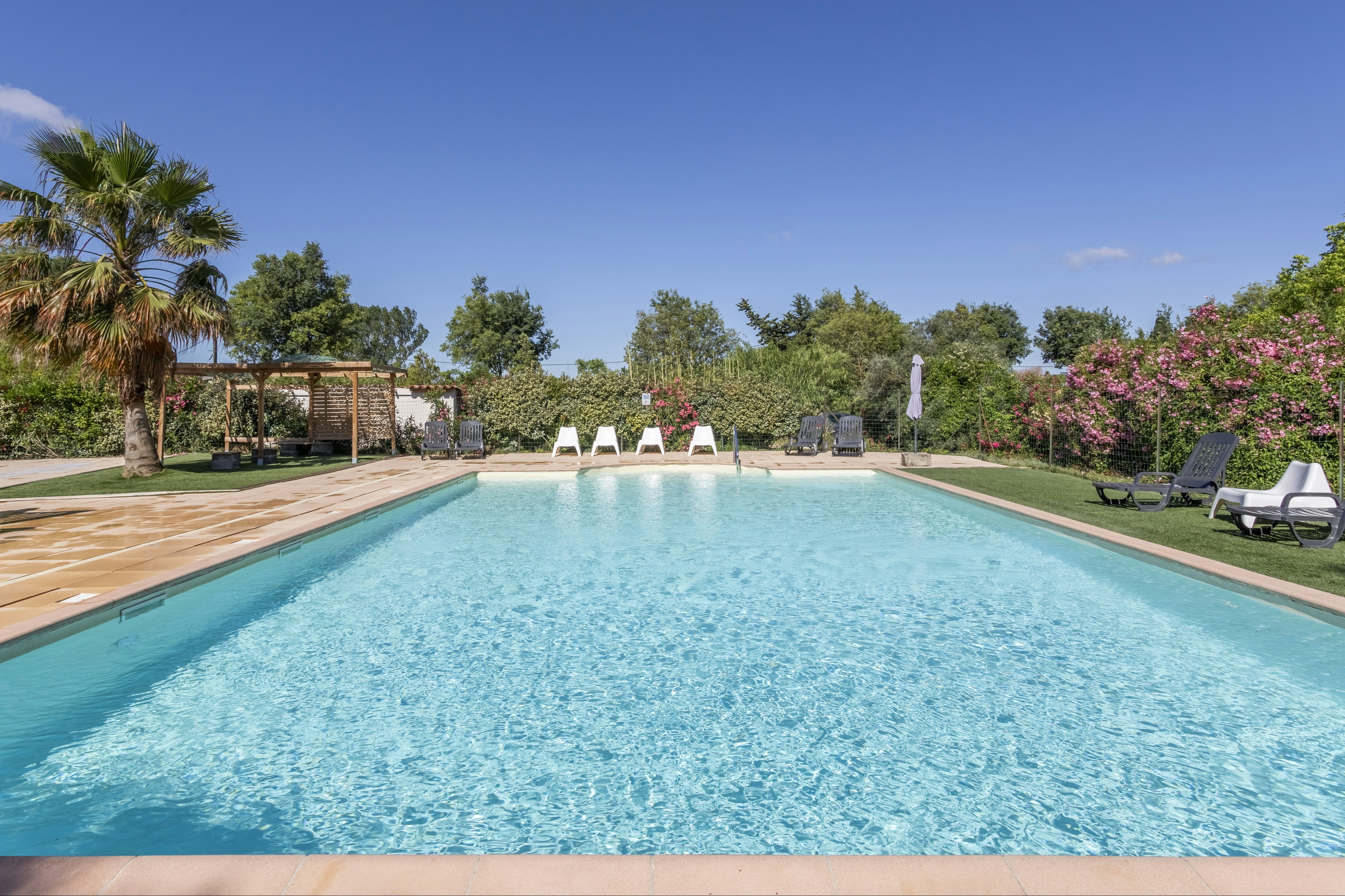 Schwimmbad mit türkisfarbenem Wasser, Liegen am Rand und Palmen sowie Bäumen im Hintergrund vor einem Gartenbereich.