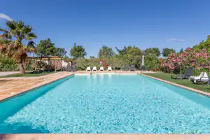 Schwimmbad mit türkisfarbenem Wasser, Liegen am Rand und Palmen sowie Bäumen im Hintergrund vor einem Gartenbereich.