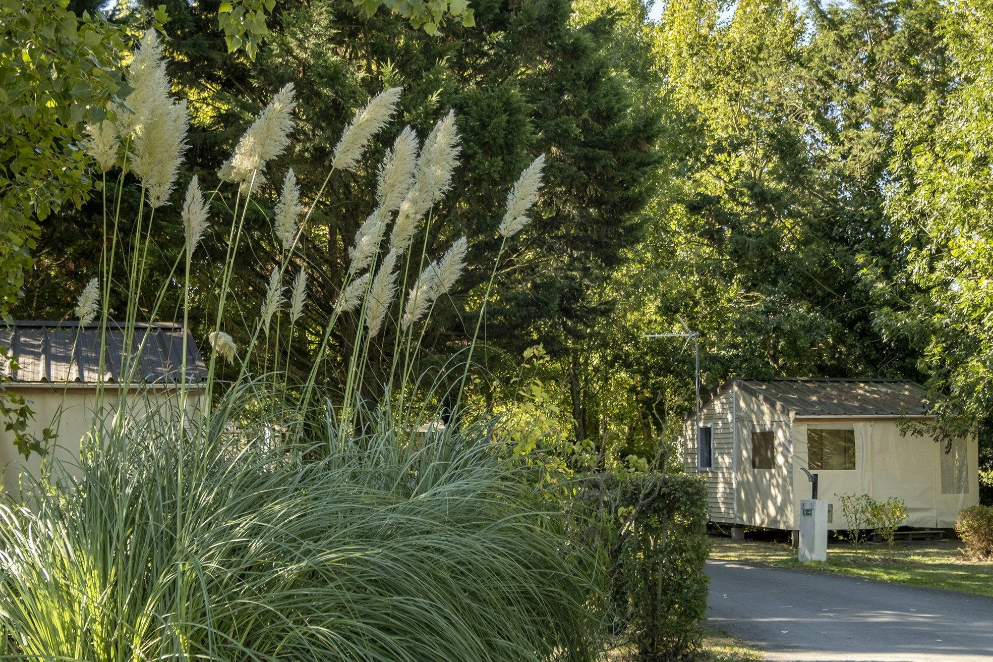 Camping Les Mizottes