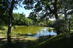 Ruhiger See am Campingplatz, umgeben von Bäumen und grünem Ufer, mit Grasweg am Rand.