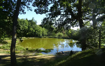 Camping Les Mésanges