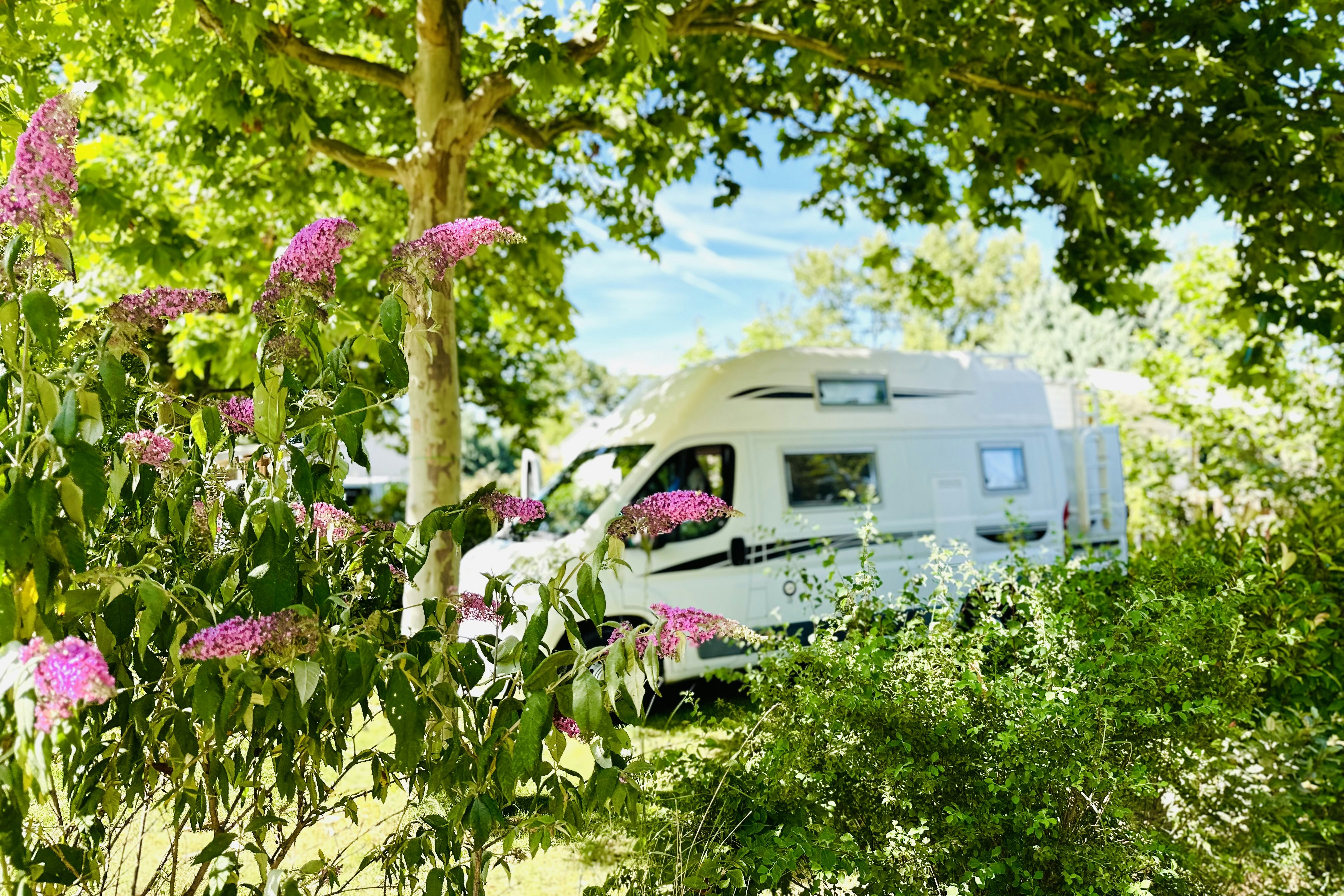 Camping Ushuaïa Villages Les Myotis  Camping les Myotis - Wohnmobil Stellplatz mit Bepflanzung im Halbschatten