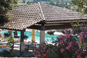 Dach mit Ziegeln über dem Pool, im Vordergrund blühende Blumen und Sträucher, dahinter grünes Gelände.