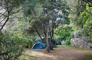 Camping les Oliviers - Wohnwagen- und Zeltstellplatz unter Bäumen auf dem Campingplatz