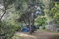Camping les Oliviers  -  Wohnwagen- und Zeltstellplatz unter Bäumen auf dem Campingplatz