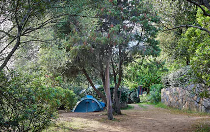 Camping les Oliviers (Porto)