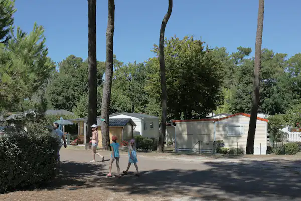 Camping Les Ombrages (Ronce-les-Bains)